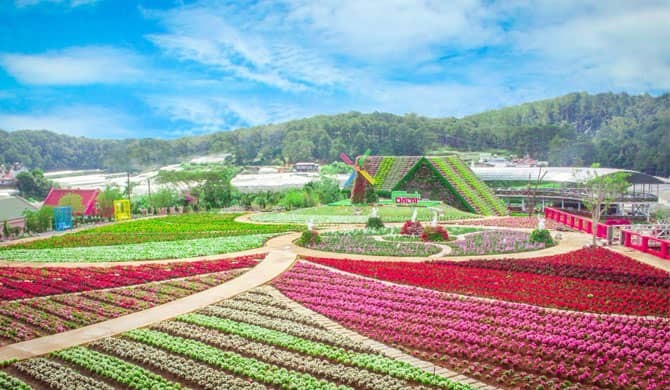 Những điều cần biết khi du lịch Đà Lạt