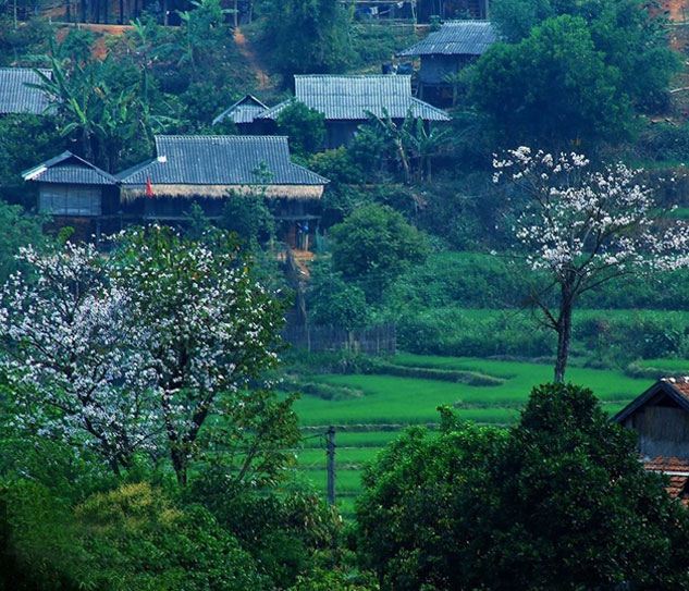 Điện Biên