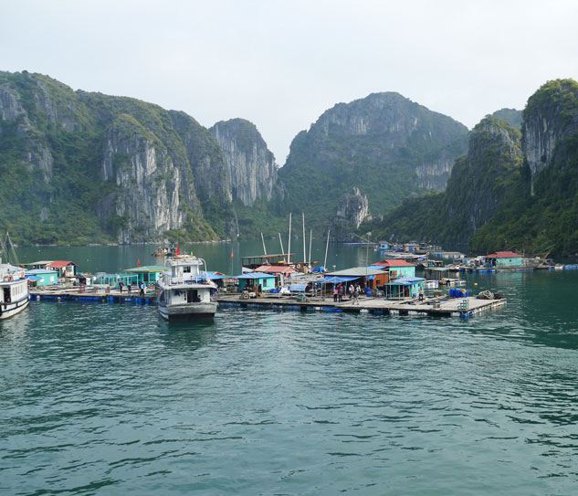 Vịnh Hạ Long
