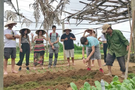 Tham quan Làng Trà Quế và Thành phố Hội An