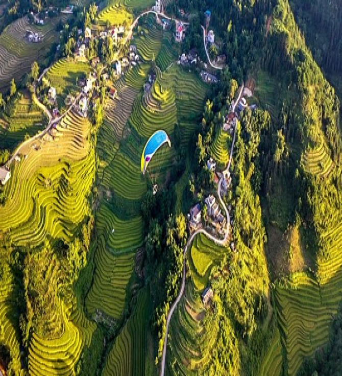 BÌNH LIÊU – MÙA CỎ LAU CHINH PHỤC SỐNG LƯNG KHỦNG LONG