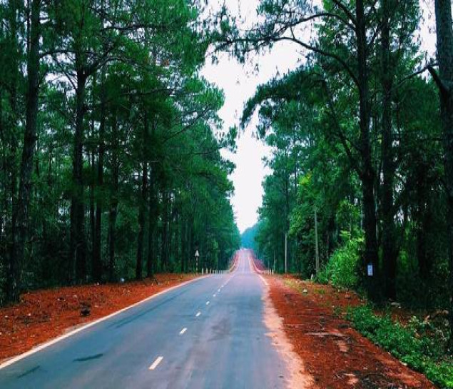 BUÔN MA THUẬT – GIA LAI - KON TUM – MĂNG ĐEN