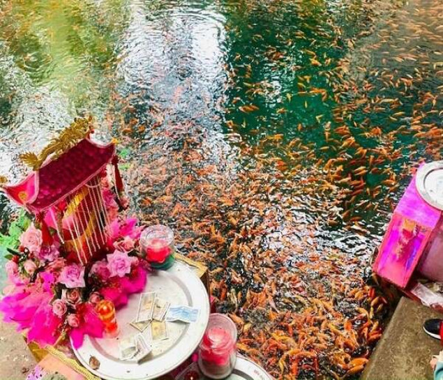 CHƯƠNG TRÌNH DU XUÂN “HÁI LỘC ĐẦU NĂM” HÀ NỘI – ĐỀN SÒNG SƠN - ĐỀN CÔ CHÍN - SUỐI CÁ THẦN- HÀ NỘI