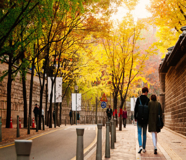 HÀ NỘI - SEOUL-NAMI- EVERLAND-THƯ VIỆN SÁCH