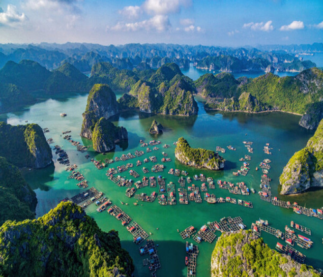 VERDURE LOTUS CRUISES 2 NGÀY 1 ĐÊM