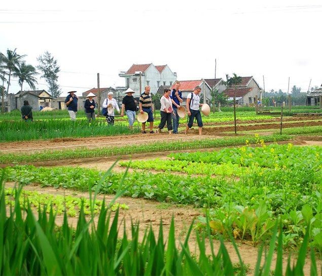 Những điểm du lịch không thể bỏ qua ở miền Trung và miền Nam
